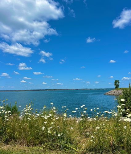 Wellness Trail Summer