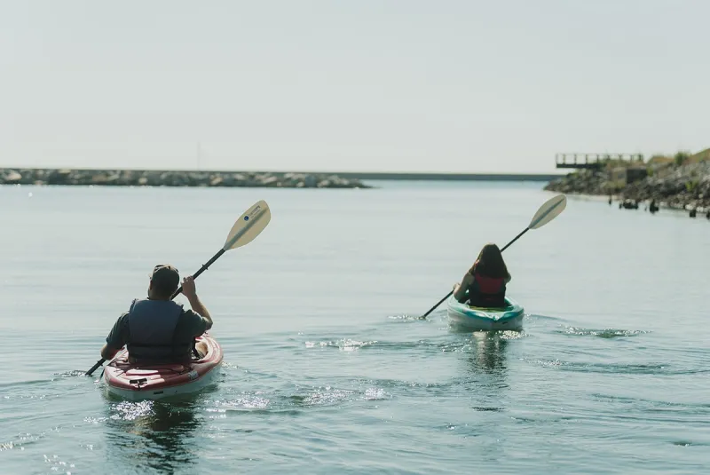 Kayaking buffalo