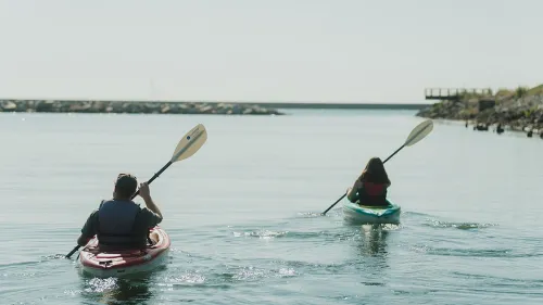 Kayaking buffalo
