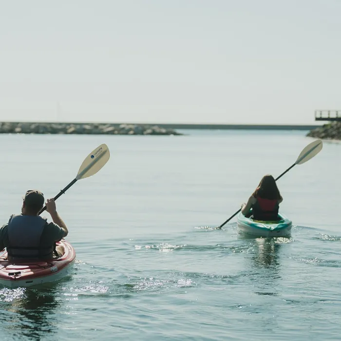 Kayaking buffalo
