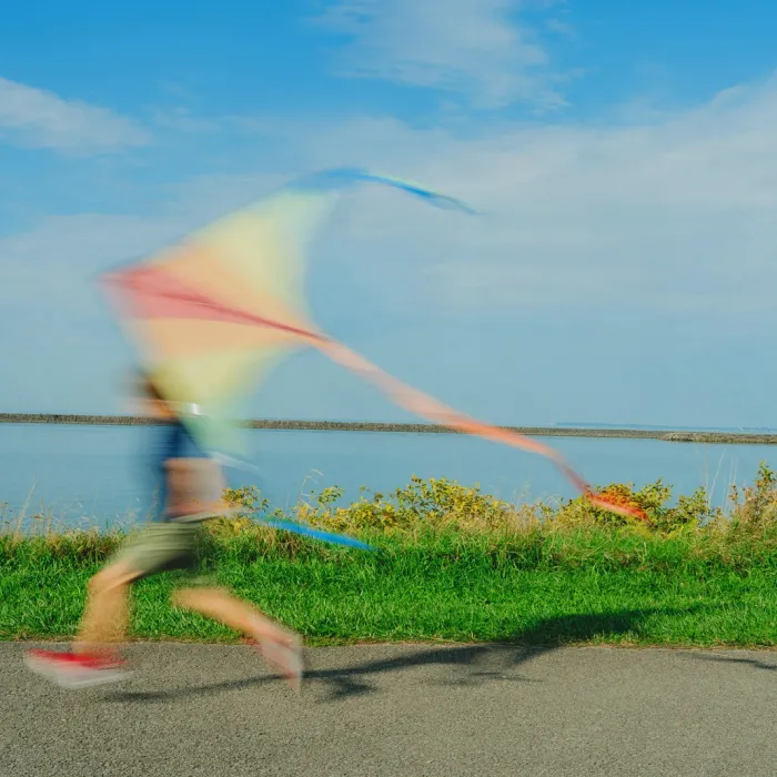 Kite at waterfront