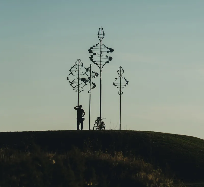 Wilkenson pointe wind sculptures