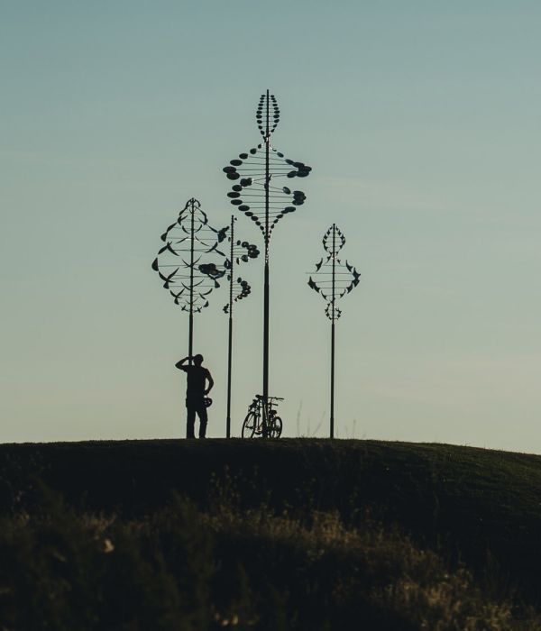 Wilkenson pointe wind sculptures