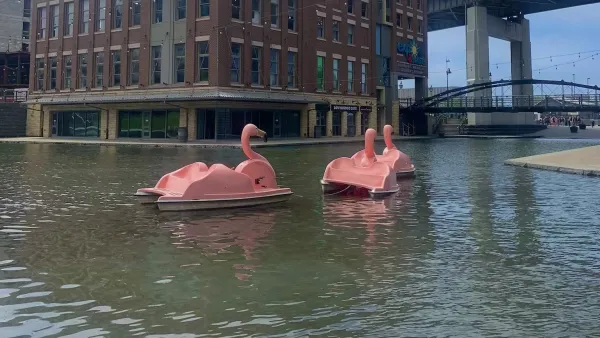 Flamingo Boat 2