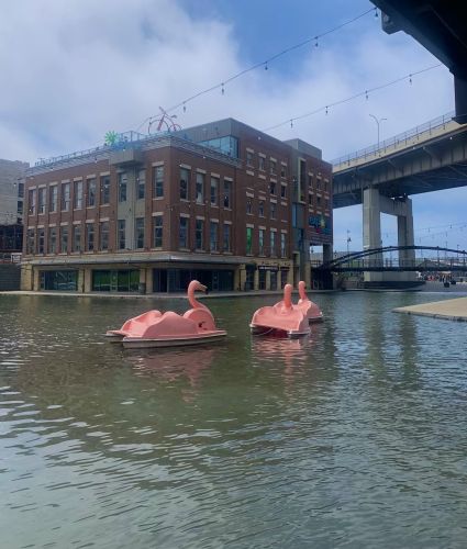 Flamingo Boat 2