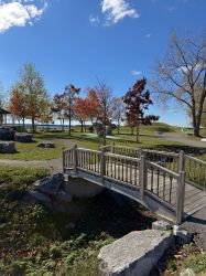 Enlarge image: Photo Oct 28 2025 12 39 17 PM