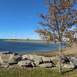 Enlarge image: Photo Oct 28 2025 12 39 49 PM 1