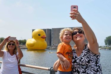 Enlarge image: Duck Selfie