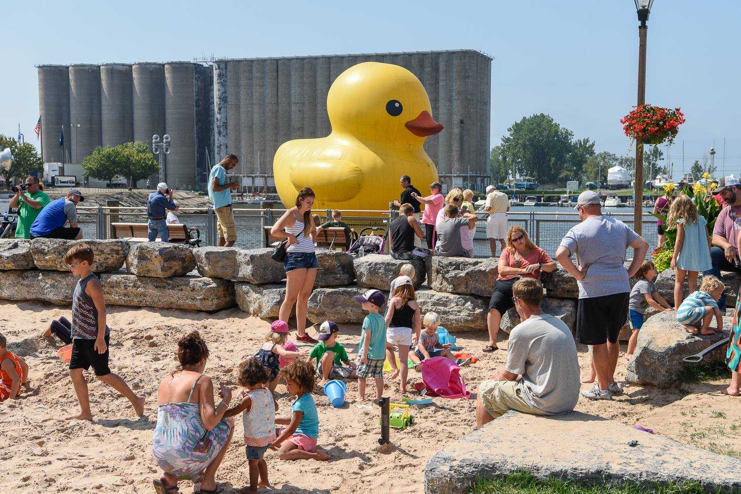 Duck at Canalside