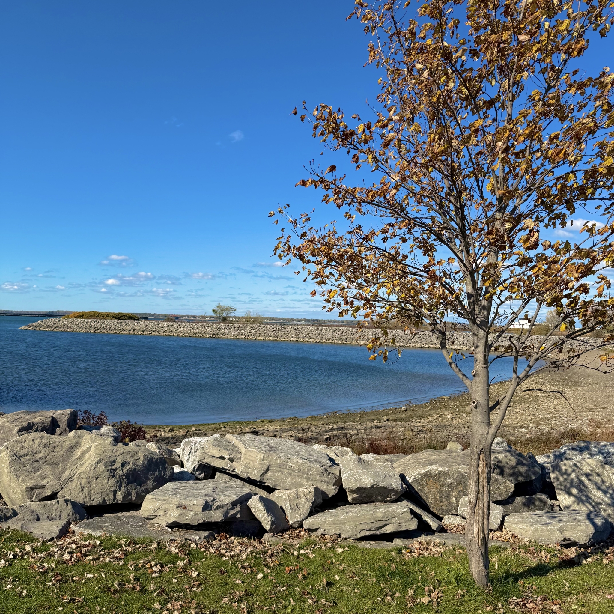 Photo Oct 28 2025 12 39 49 PM 1