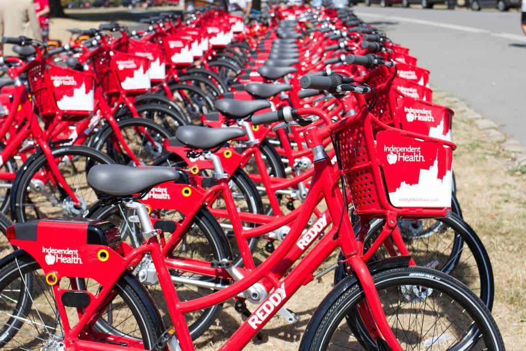 Reddy Bike