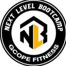Next level logo