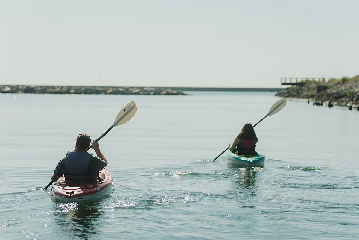 Kayaking buffalo