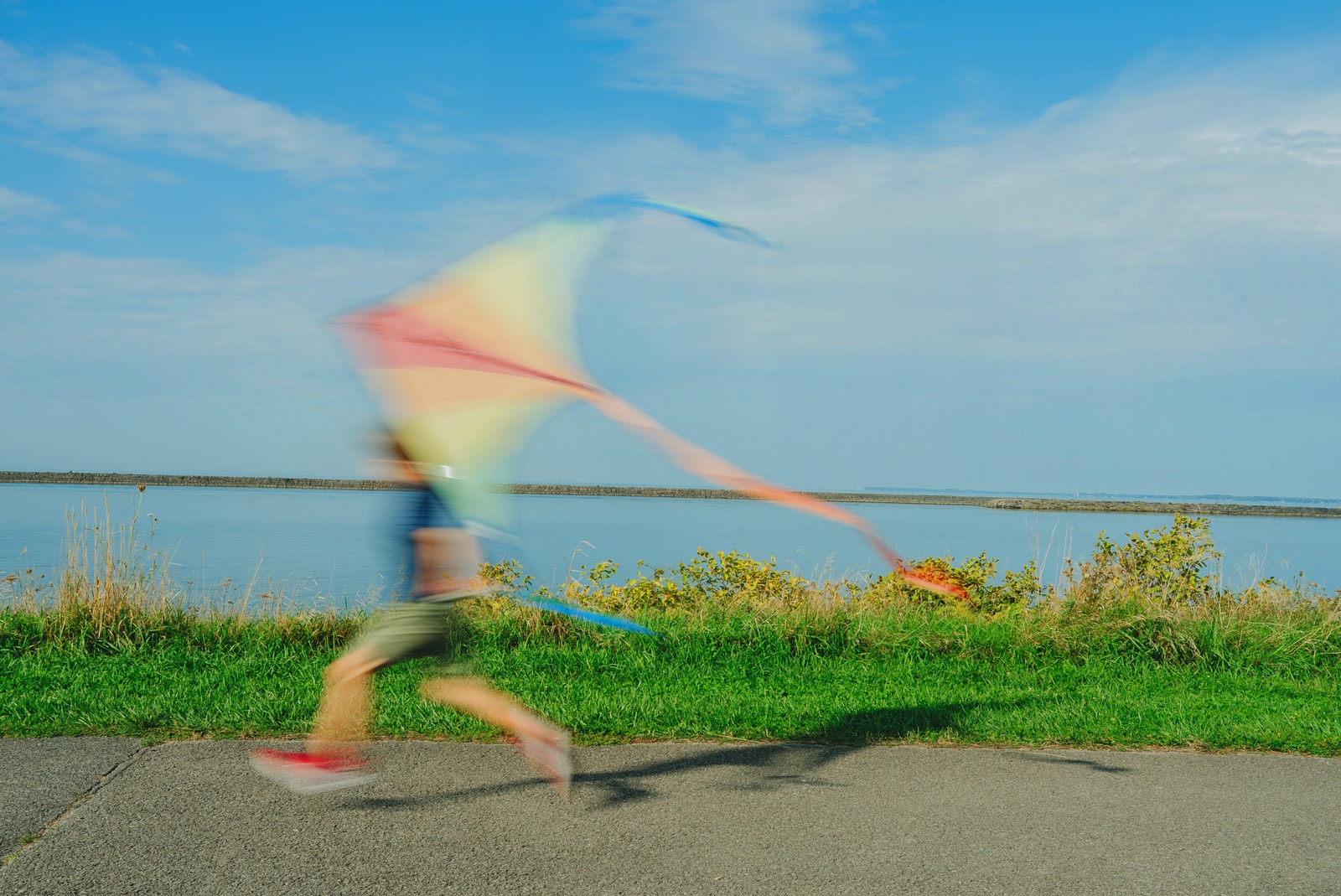 Kite at waterfront